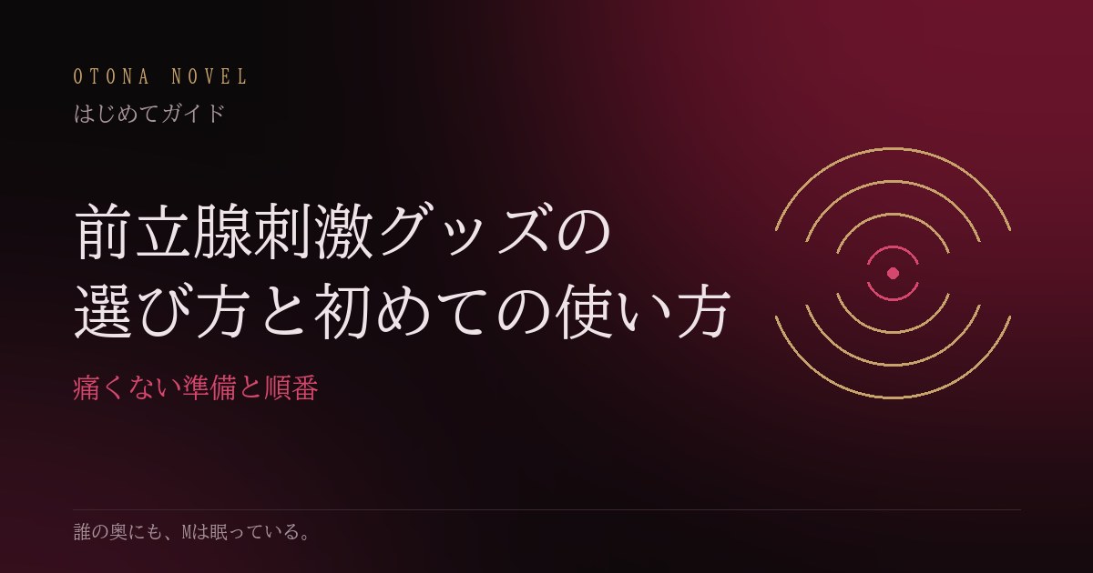 前立腺刺激グッズの選び方と初めての使い方(オトナノベル はじめてガイド)